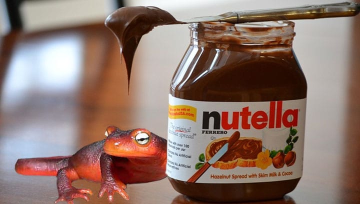 Nutella: It’s made with nuts, not newts