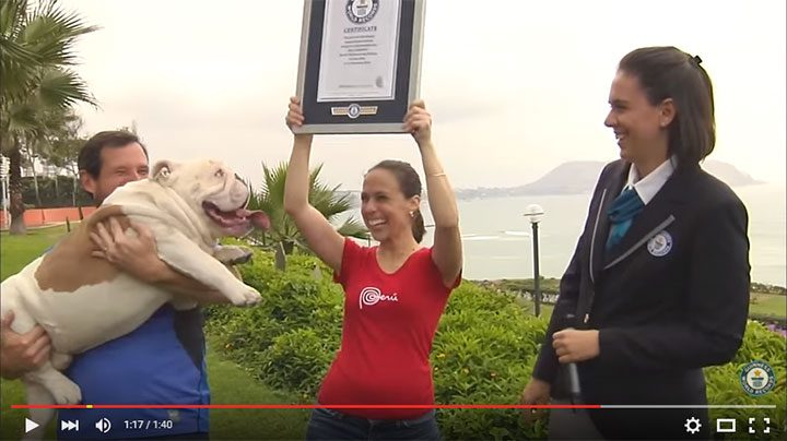 guinness world record skateboarding dog
