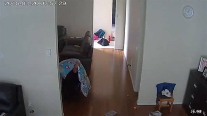 Burglar robs home using children’s blanket for cover