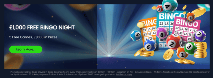 Spinzwin bingo review 8 Spinzwin free bingo night